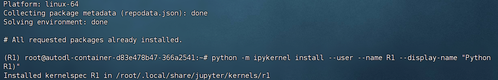 image-20250122190355681