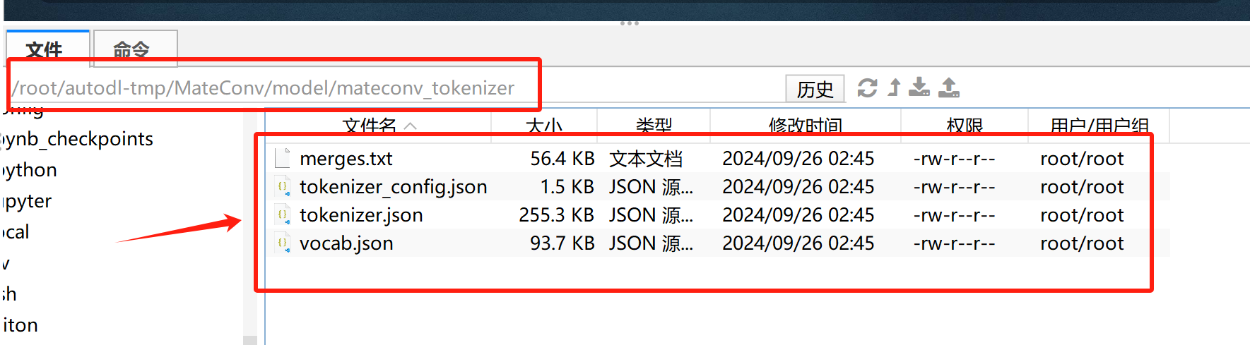 image-20241022194241795