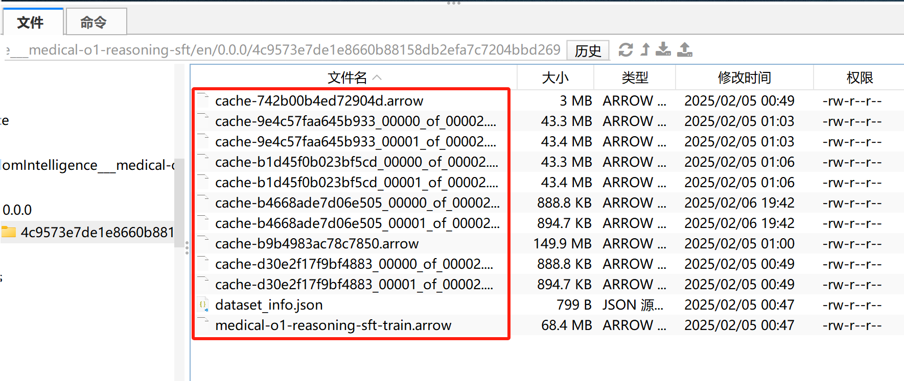 image-20250206195216257