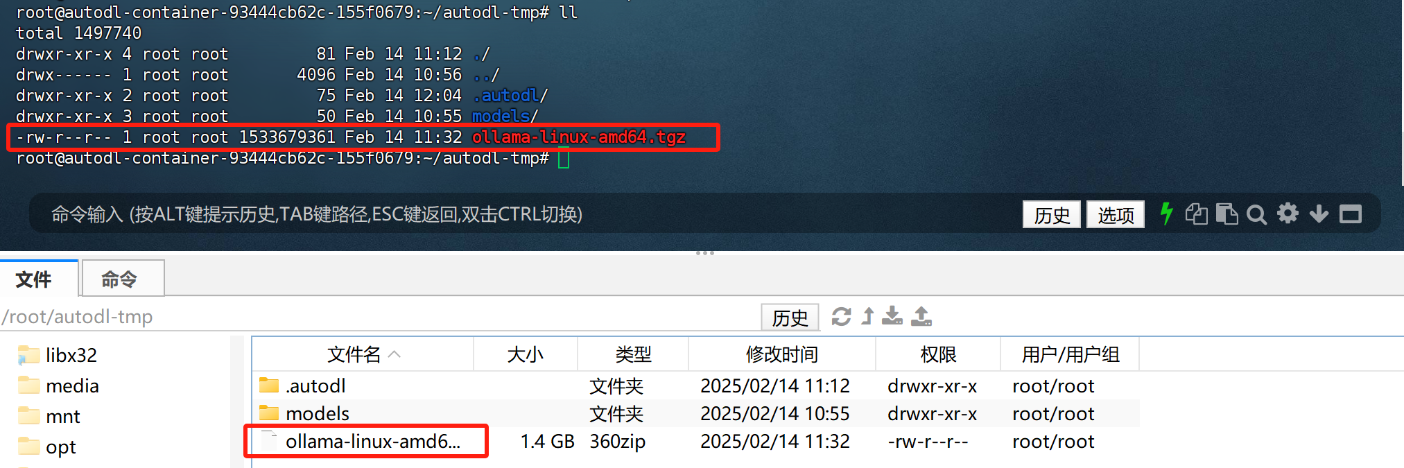image-20250214120537243