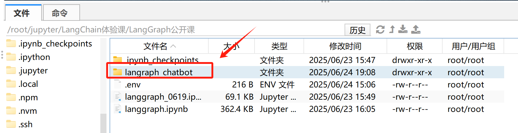 image-20250624190858497