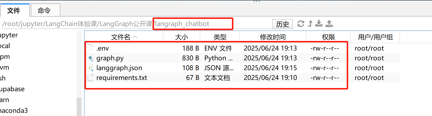 image-20250624191613003